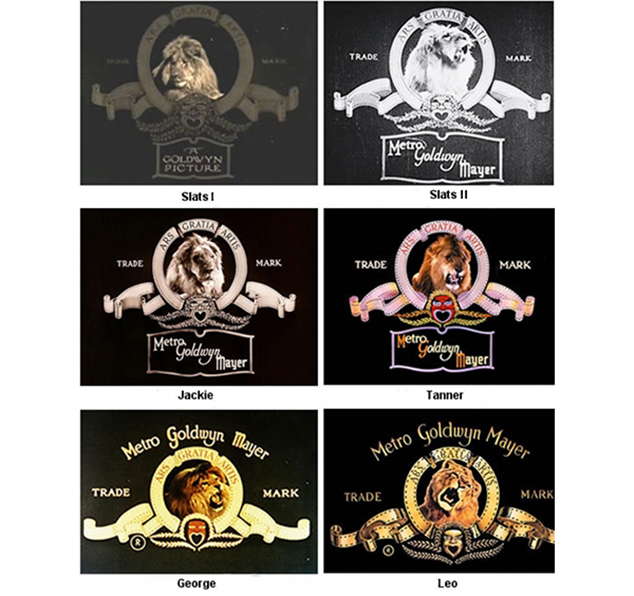 Львы студии MGM Львы студии MGM